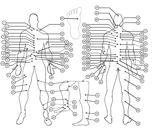 Where to Place Cupping Cups for Cupping Therapy