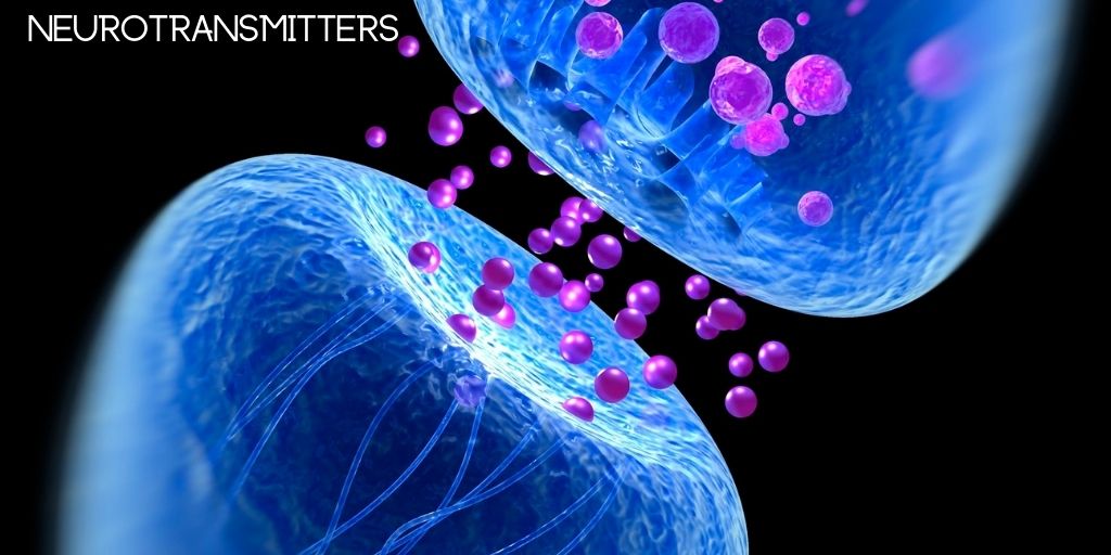 Cupping Therapy, Hormones and Neurotransmitters
