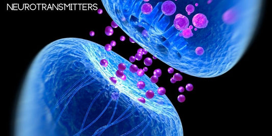 Cupping Therapy, Hormones and Neurotransmitters